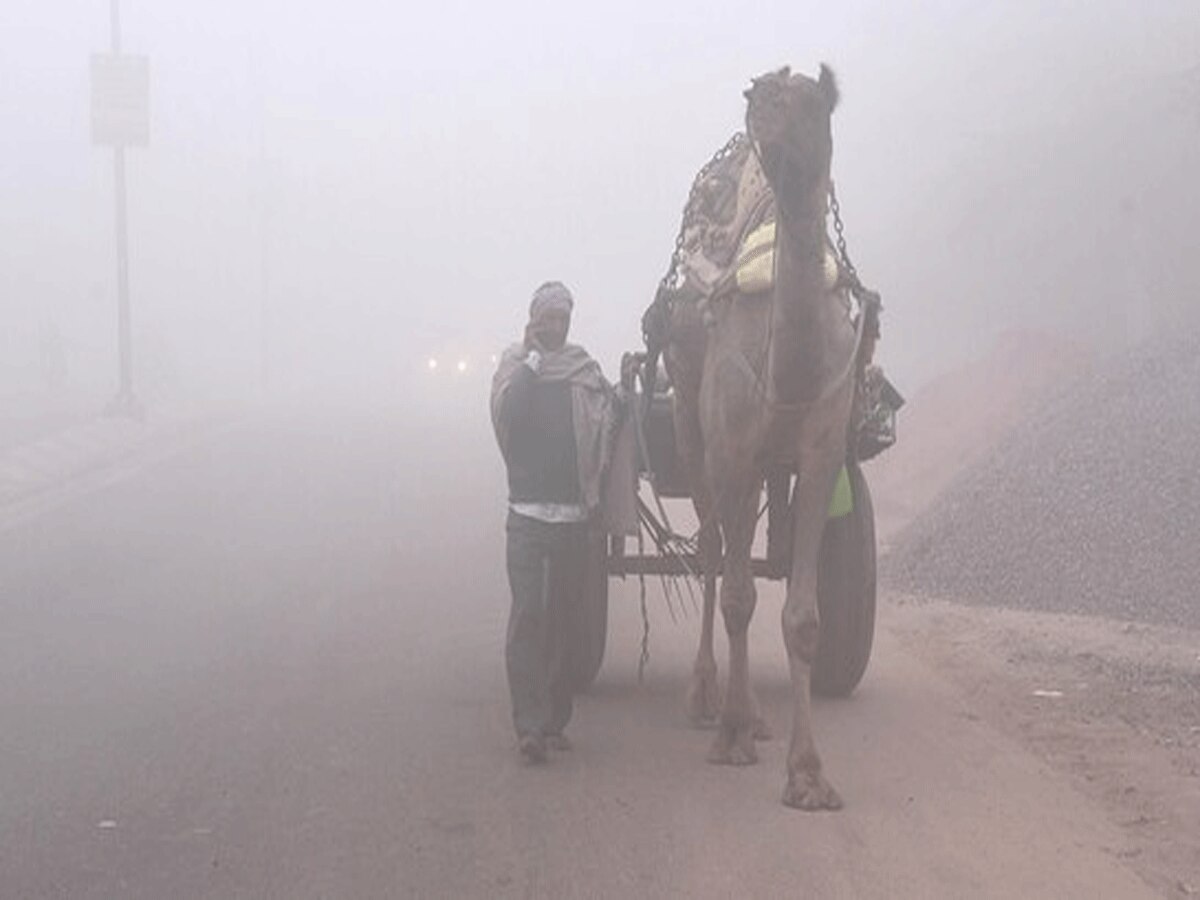 Rajasthan Weather Update: राजस्थान के जिलों में छाया घना कोहरा, कड़ाके की ठंड का अलर्ट जारी  