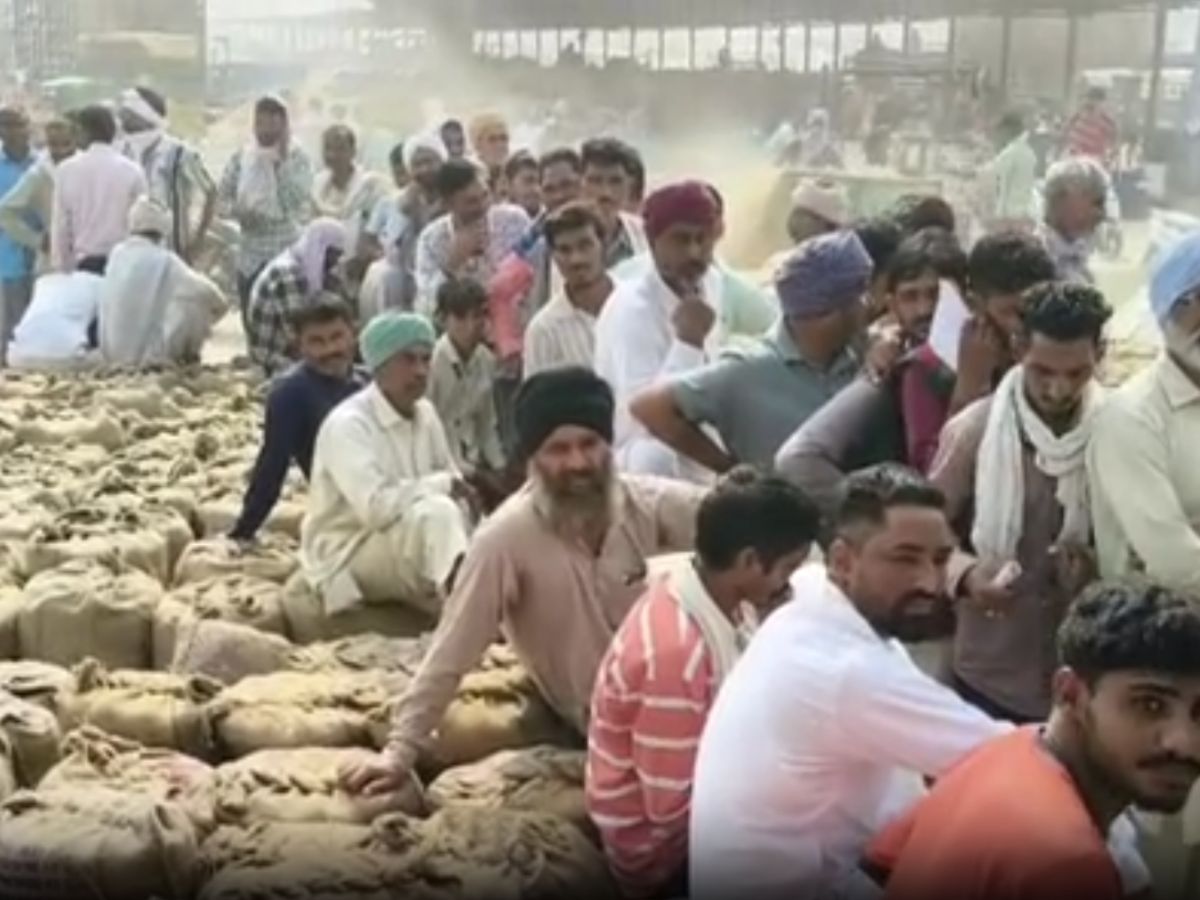 Sri Ganganagar News: DAP के 2700 थैलों का किया जाएगा वितरण, लाइनों में लगे किसान