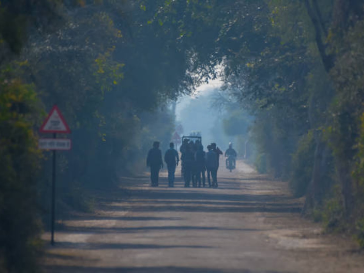 Rajasthan Weather Update:  राजस्थान में तेजी से गिर रहा तापमान, जयपुर से लेकर उदयपुर के लोग झेलेंगे ठंड की मार, पढ़ें वेदर अपडेट 