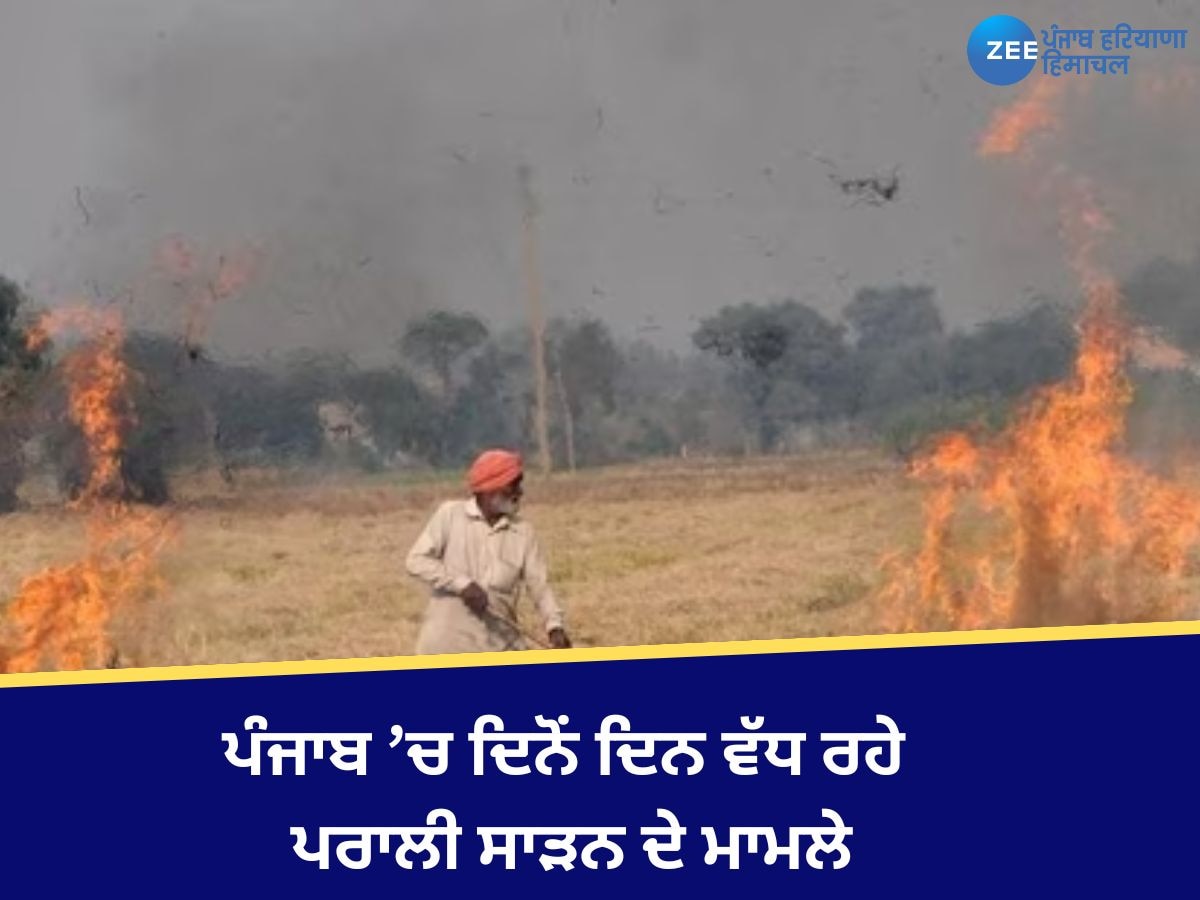 Stubble Burning: ਪੰਜਾਬ 'ਚ ਪਰਾਲੀ ਸਾੜਨ ਦੇ ਮਾਮਲੇ ਹੁਣ ਤੱਕ 7,000 ਤੋਂ ਪਾਰ, ਜਾਣੋ ਜ਼ਿਲ੍ਹਿਆਂ ਦਾ AQI