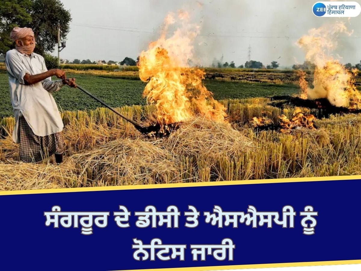 Sangrur News: ਪਰਾਲੀ ਸਾੜਨ ਦੇ ਕੇਸਾਂ ਕਾਰਨ ਸੈਂਟਰ ਪ੍ਰਦੂਸ਼ਣ ਬੋਰਡ ਨੇ ਸੰਗਰੂਰ ਦੇ ਡੀਸੀ ਤੇ ਐਸਐਸਪੀ ਨੂੰ ਨੋਟਿਸ ਕੀਤਾ ਜਾਰੀ