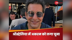 55 हजार में बिल्ली का हेयरकट, वसीम अकरम के उड़े होश! इतने में तो पाकिस्तान...