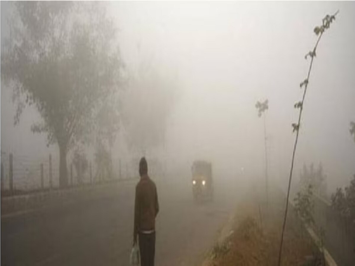 Rajasthan Weather Update: राजस्थान में गिरते पारे ने बढ़ाई ठिठुरन, इन जिलों में दिखा कोहरे का प्रभाव, जानें मौसम का ताजा हाल