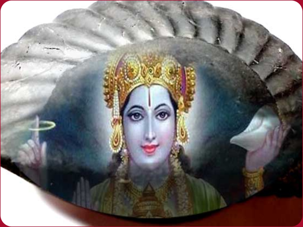 Shaligram Ji Ki Aarti: शालिग्राम भगवान की आरती का करें पाठ, धन और संतान से भर देंगे घर