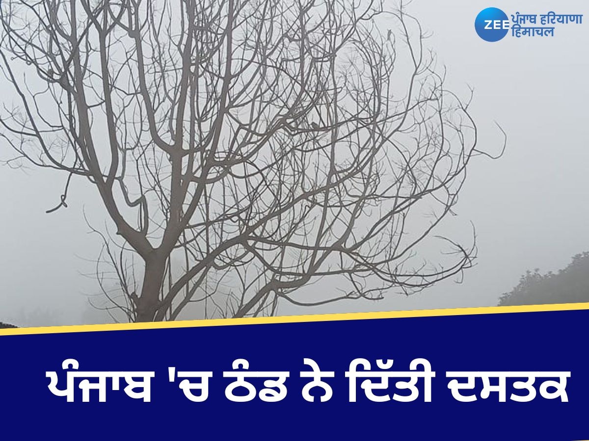 Punjab Chandigarh Weather: ਪੰਜਾਬ ਤੇ ਚੰਡੀਗੜ੍ਹ 'ਚ ਅੱਜ ਸੰਘਣੀ ਧੁੰਦ ਨਾਲ ਠੰਢ ਦੀ ਦਸਤਕ! ਆਵਾਜਾਈ ਦੀ ਰਫ਼ਤਾਰ ਪਈ ਮੱਠੀ 