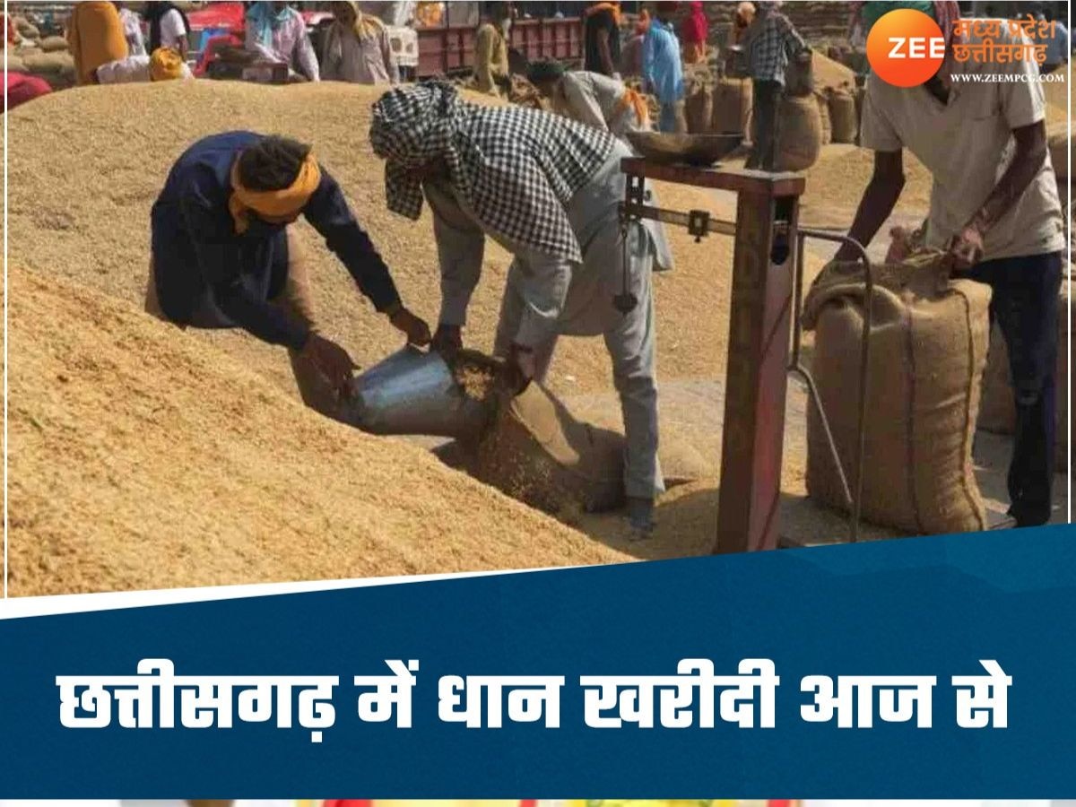 Paddy Purchase Centre: छत्तीसगढ़ में धान खरीदी का महापर्व आज से शुरू, सीएम विष्णुदेव साय करेंगे शुभारंभ