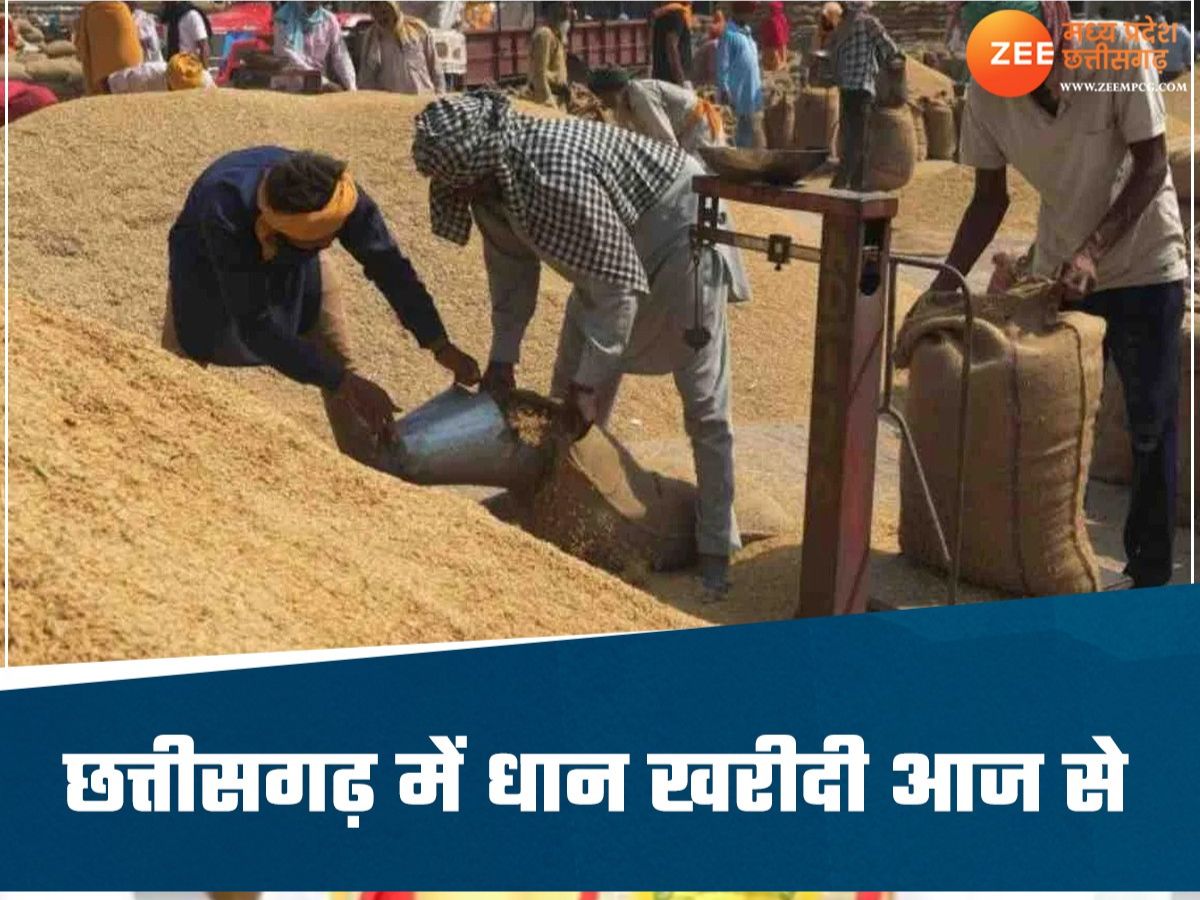 Paddy Purchase Centre: छत्तीसगढ़ में धान खरीदी का महापर्व आज से शुरू, सीएम विष्णुदेव साय करेंगे शुभारंभ Paddy Purchase Centre: छत्तीसगढ़ में धान खरीदी का महापर्व आज से शुरू, सीएम विष्णुदेव साय करेंगे शुभारंभ