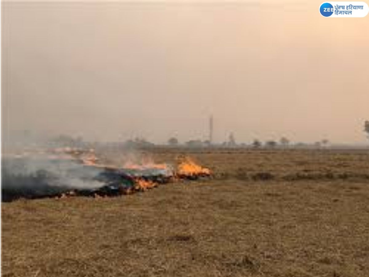 Stubble Burning News: ਹਵਾ ਗੁਣਵੱਤਾ ਪ੍ਰਬੰਧਨ ਕਮਿਸ਼ਨ ਨੇ ਪਰਾਲੀ ਨੂੰ ਅੱਗ ਦੇ ਕੇਸਾਂ 'ਚ ਕਮੀ ਲਈ ਪੰਜਾਬ ਦੀ ਕੀਤੀ ਸ਼ਲਾਘਾ 