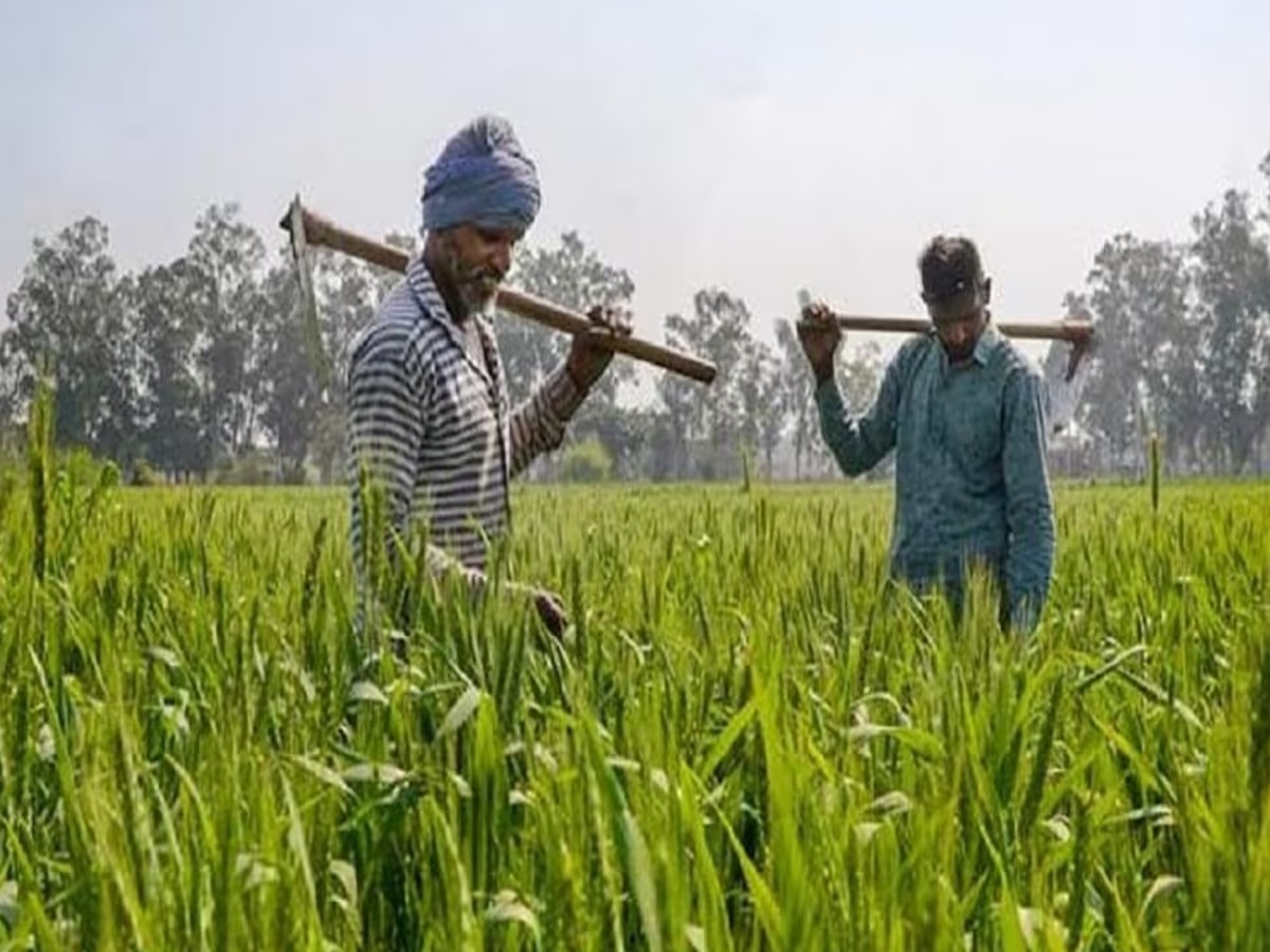 इन सरकारी योजनाओं का आम जनता को मिला लाभ, लाभार्थियों ने पीएम मोदी का जताया आभार