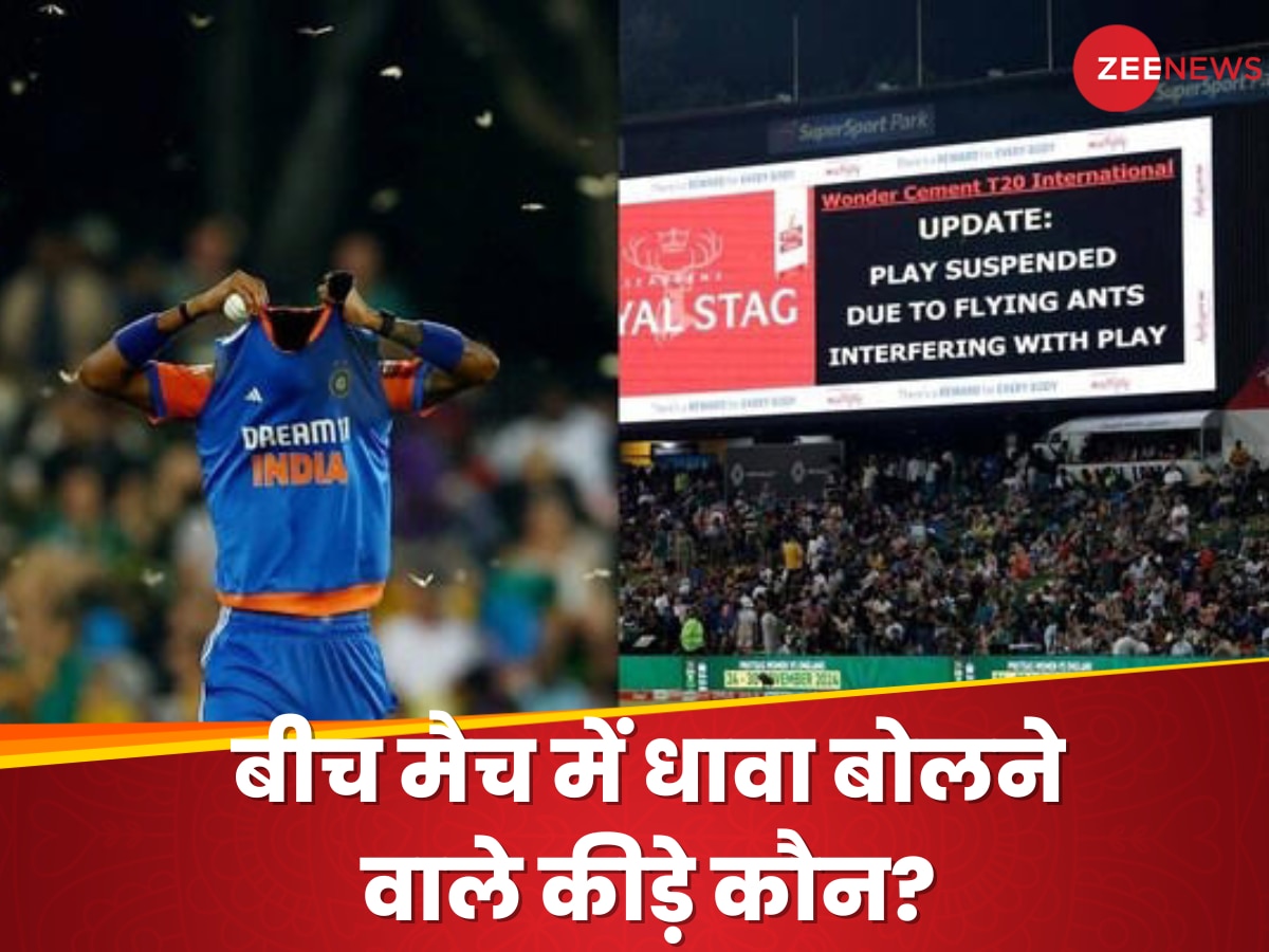 कैसे हैं ये सफेद कीड़े, जो IND vs SA मैच में बने विलेन; इंसानों के लिए कितने खतरनाक?