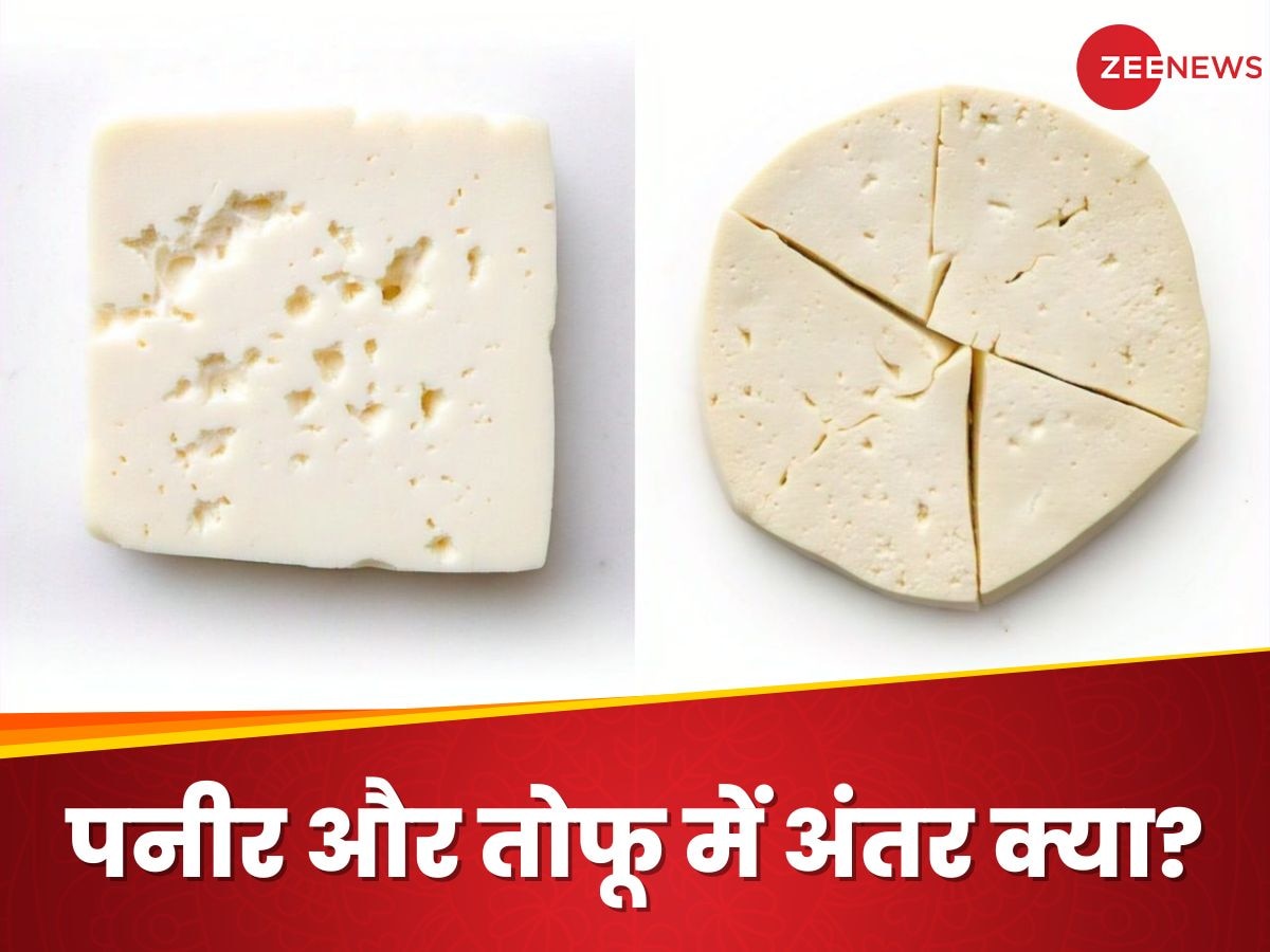 Paneer vs Tofu: पनीर और टोफू में ज्यादा हेल्दी कौन? रोजाना खाने से शरीर को क्या फायदे मिलेंगे