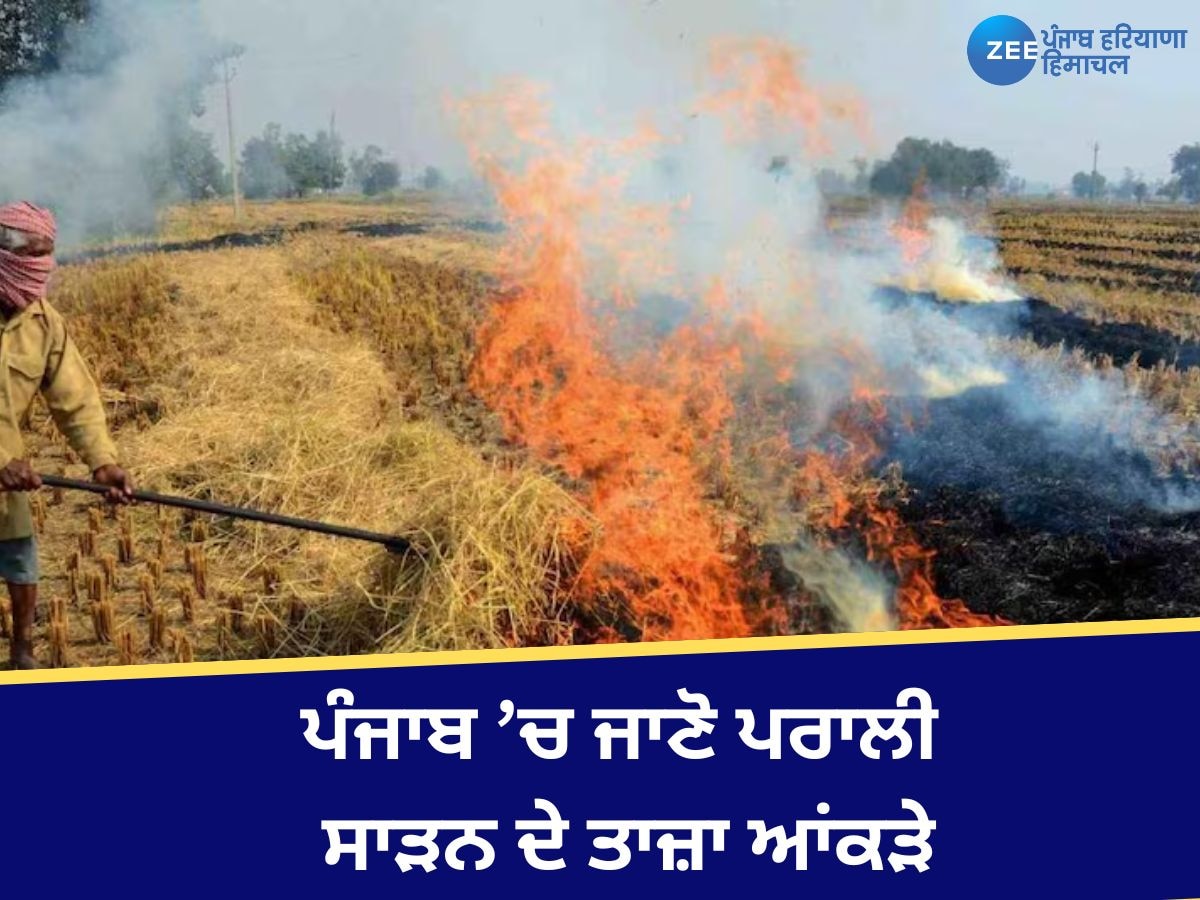 Stubble Burning Case In Punjab: ਪੰਜਾਬ ’ਚ ਵੱਧ ਰਹੇ ਪਰਾਲੀ ਸਾੜਨ ਦੇ ਮਾਮਲੇ, ਜਾਣੋ ਤਾਜ਼ਾ ਆਂਕੜੇ