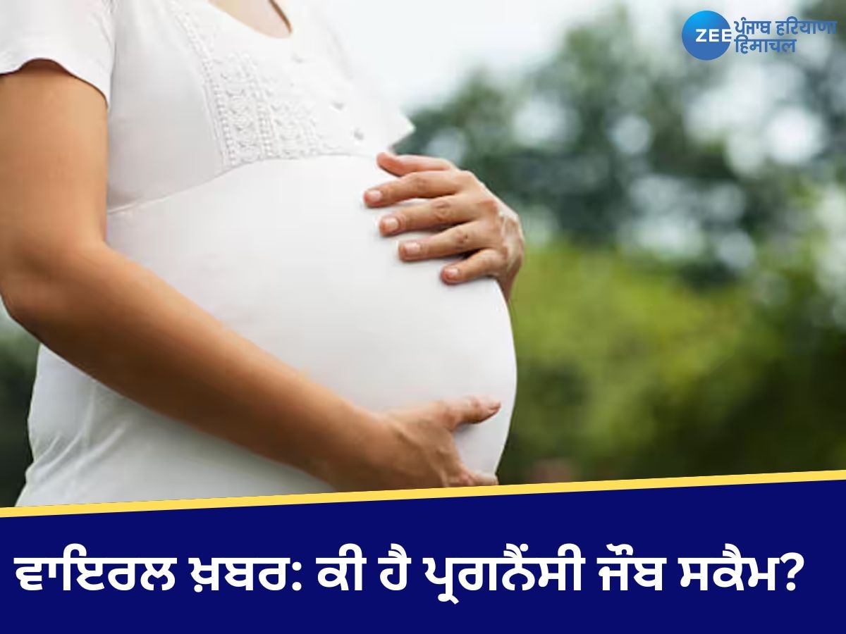 Pregnancy Job Scam: ‘3 ਮਹੀਨਿਆਂ 'ਚ ਪ੍ਰਗਨੈਂਟ ਕਰੋ ਤੇ 20 ਲੱਖ ਲਵੋ..’, ਕੀ ਹੈ ਪ੍ਰਗਨੈਂਸੀ ਜੌਬ ਸਕੈਮ? 