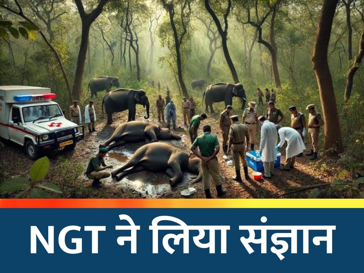 10 हाथियों की मौत पर NGT सख्त, इन अधिकारियों को जारी किया नोटिस, मांगा जवाब