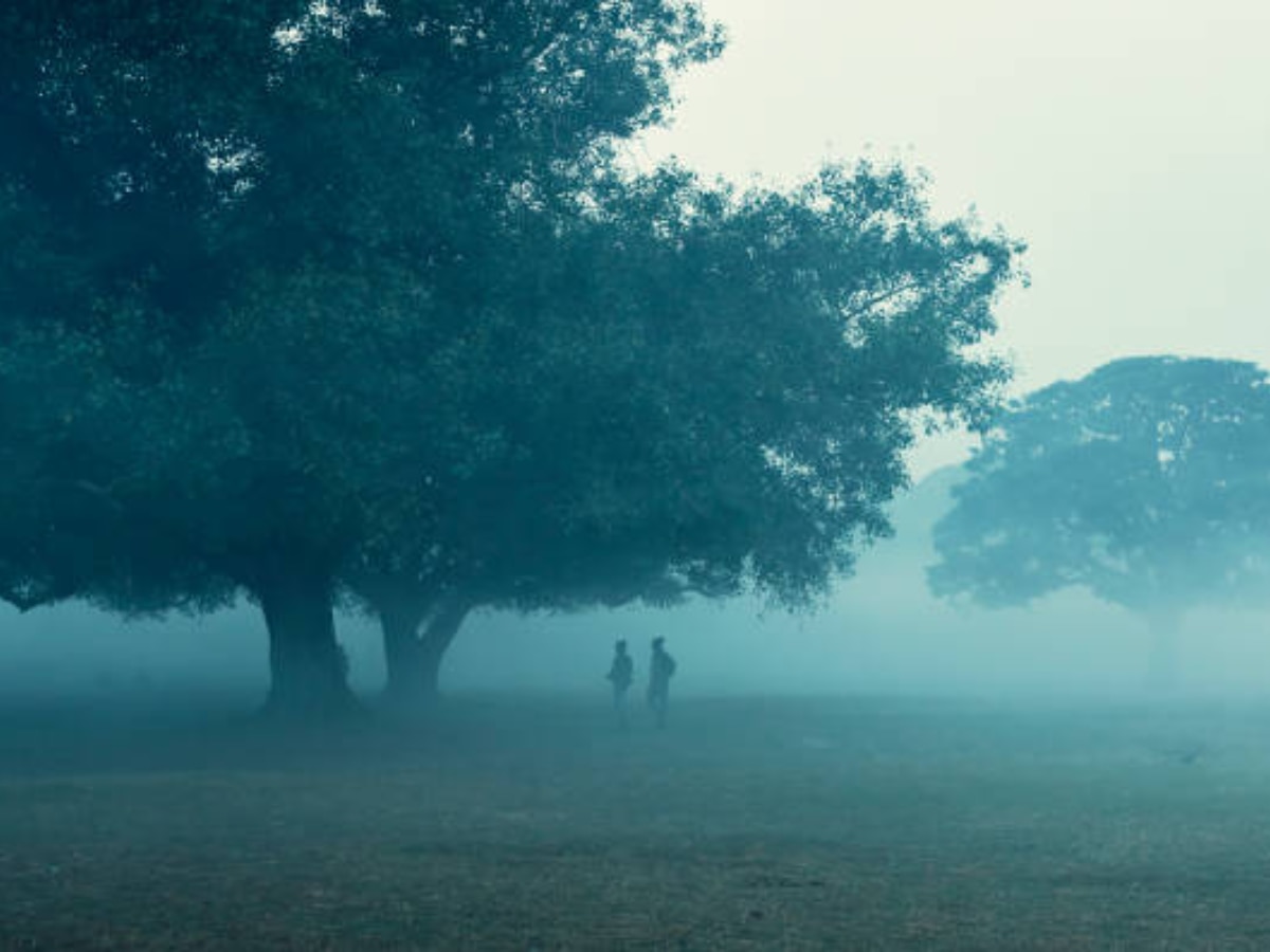 Rajasthan Weather Update: राजस्थान में पारा लुढ़कने के बाद कोहरे का कहर, जयपुर-उदयपुर में छाई धुंध, पढ़ें वेदर अपडेट 