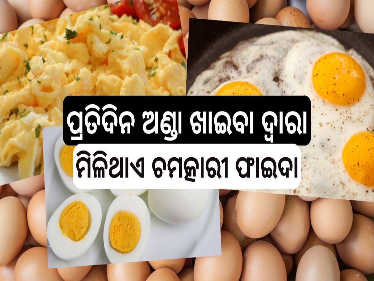 Eat An Egg Every Day: ପ୍ରତିଦିନ ଅଣ୍ଡା ଖାଇବା ଦ୍ୱାରା ମିଳିଥାଏ ଏହି ସବୁ ବଡ଼ ଚମତ୍କାରୀ ଫାଇଦା...