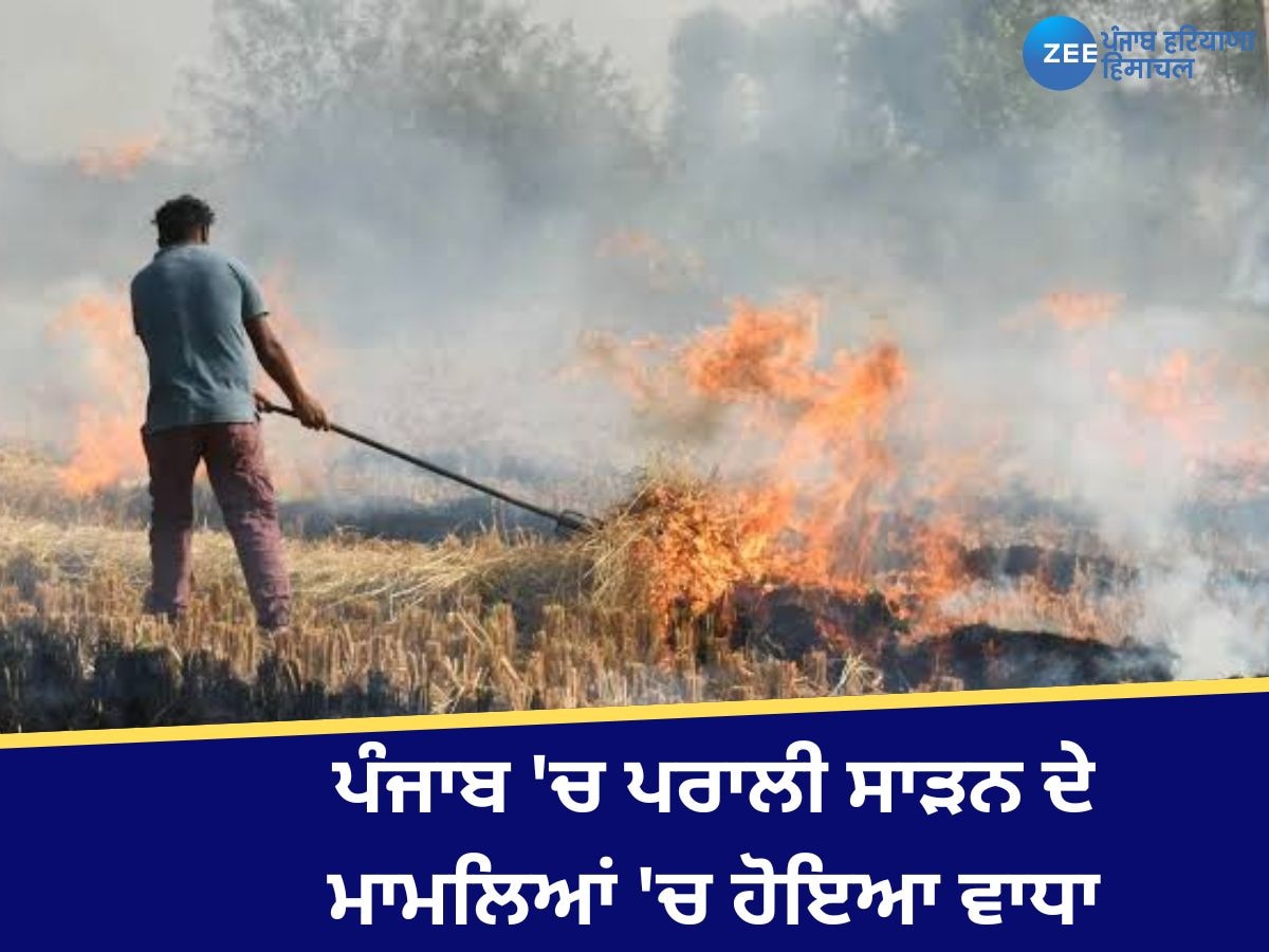 Stubble Burning Case In Punjab: ਪਰਾਲੀ ਸਾੜਨ ਦੇ ਪੰਜਾਬ 'ਚ ਹੁਣ ਤੱਕ 8,000 ਕੇਸ ਆਏ ਸਾਹਮਣੇ, ਜਾਣੋ ਸ਼ਹਿਰਾਂ ਦਾ ਹਾਲ 