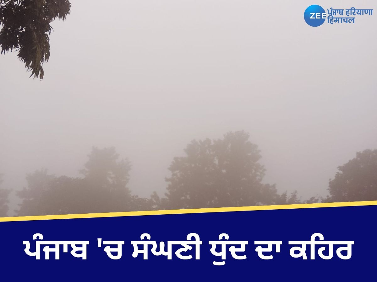 Weather Update: ਪੰਜਾਬ ਦੇ 14 ਜ਼ਿਲ੍ਹਿਆਂ 'ਚ ਧੁੰਦ ਦਾ ਅਲਰਟ! ਚੰਡੀਗੜ੍ਹ 'ਚ ਘਟਿਆ ਪ੍ਰਦੂਸ਼ਣ, ਸੜਕਾਂ ਉੱਤੇ ਵਿਜੀਬਿਲਟੀ ਘਟੀ