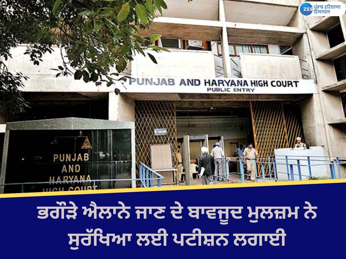 Punjab Haryana High Court: ਹੈਰਾਨੀਜਨਕ ਮਾਮਲਾ; ਭਗੌੜੇ ਨੇ ਪੁਲਿਸ ਸੁਰੱਖਿਆ ਲਈ ਪਟੀਸ਼ਨ ਪਾਈ, LOC ਜਾਰੀ ਹੋਣ ਦੇ ਬਾਵਜੂਦ ਕੈਨੇਡਾ ਗਿਆ