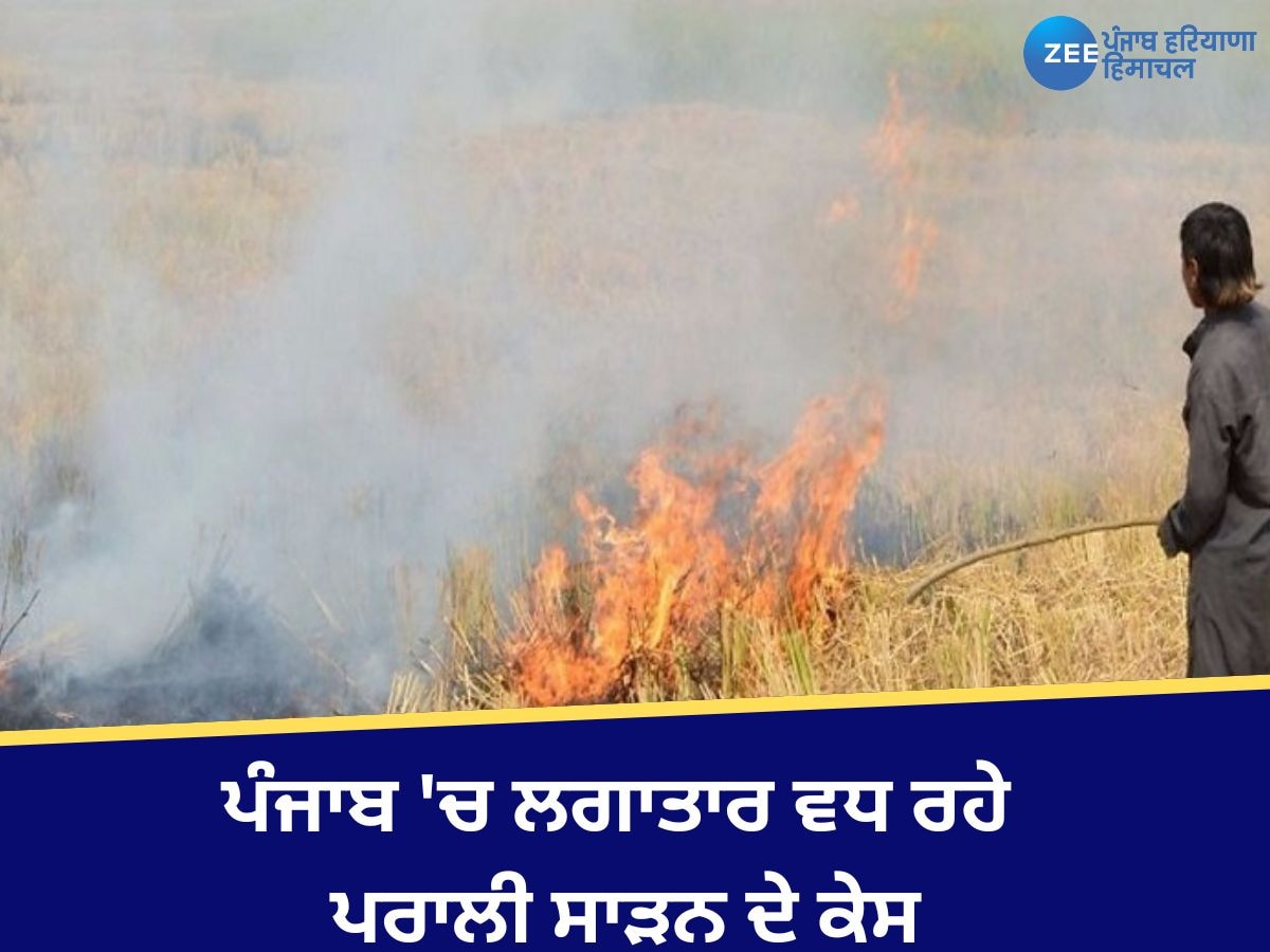 Stubble Burning Case In Punjab: ਪੰਜਾਬ 'ਚ ਪਰਾਲੀ ਸਾੜਨ ਦੇ ਮਾਮਲਿਆਂ 'ਚ ਹੋ ਰਿਹਾ ਲਗਾਤਾਰ ਵਾਧਾ, ਜਾਣੋ ਤਾਜਾ ਆਂਕੜੇ