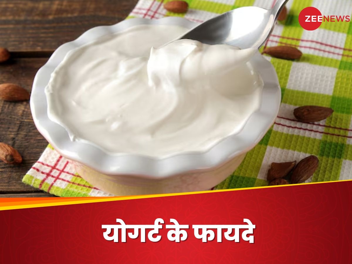 Yogurt Benefits: हमें रोजाना क्यों खाना चाहिए योगर्ट? फायदे जानेंगे तो नहीं पूछेंगे ये सवाल