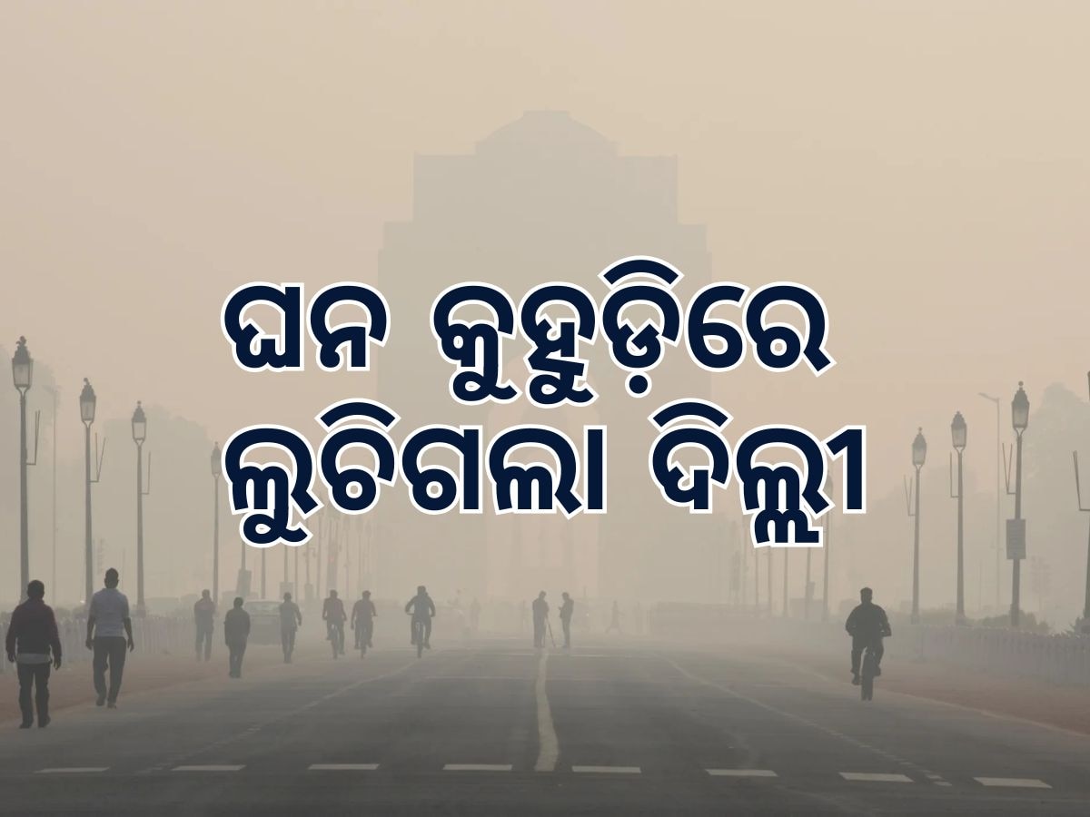 Flight Service: ଦିଲ୍ଲୀରେ କୁହୁଡ଼ି, ୧୬୦ ବିମାନ ଉଡ଼ାଣ ଓ ଅବତରଣ ବିଳମ୍ବିତ 