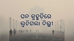 Flight Service: ଦିଲ୍ଲୀରେ କୁହୁଡ଼ି, ୧୬୦ ବିମାନ ଉଡ଼ାଣ ଓ ଅବତରଣ ବିଳମ୍ବିତ 