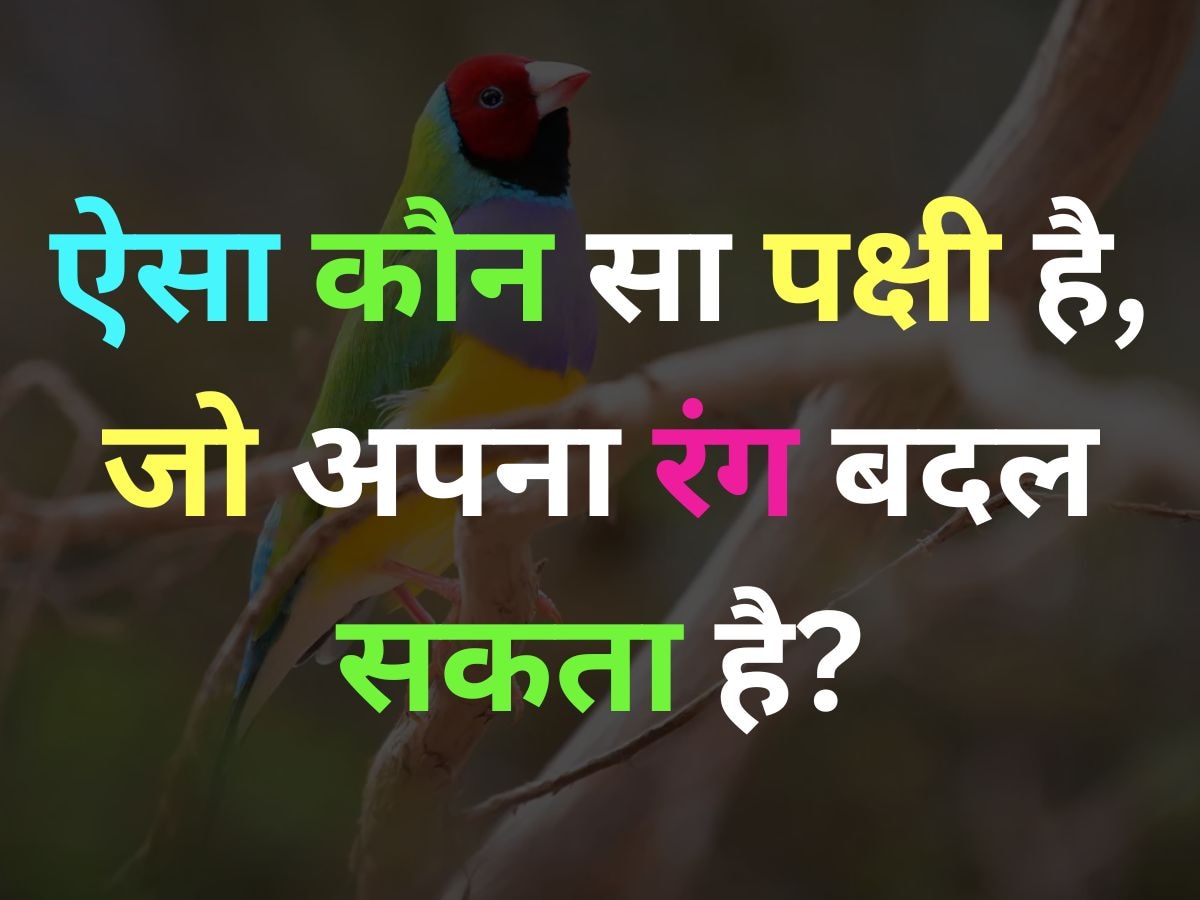 GK Quiz: ऐसा कौन सा पक्षी है, जो अपना रंग बदल सकता है?