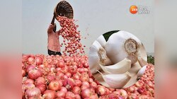 लहसुन ने लगाई दो डबल सेंचुरी, प्याज भी मजबूती से महंगाई की पिच पर डटा
