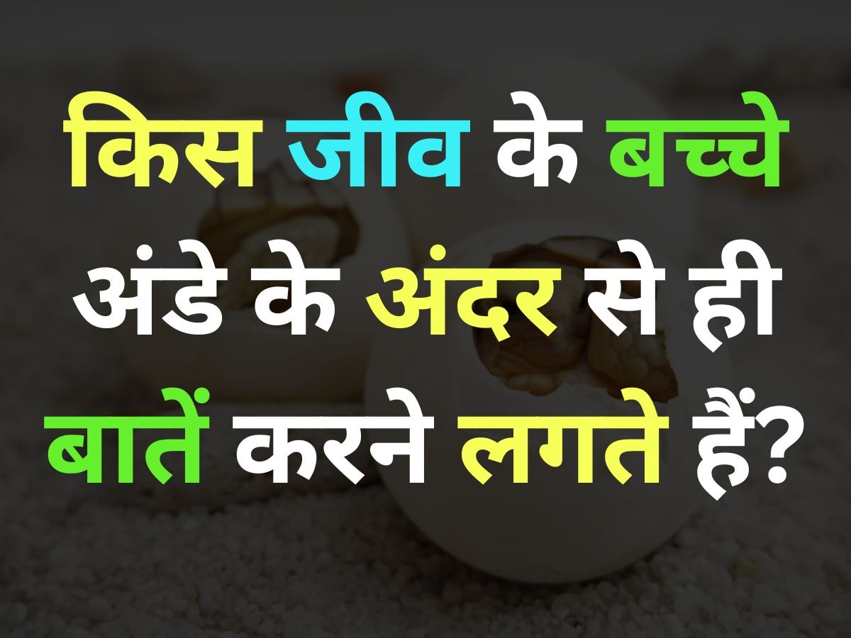 GK Quiz: वो कौन सा जीव है, जिसके बच्चे अंडे के अंदर से ही बातें करना शुरू कर देते हैं?