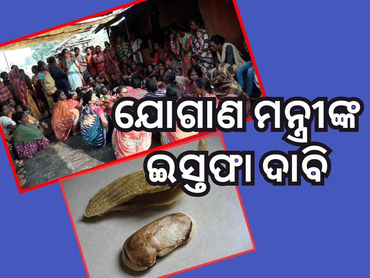 ଆମ୍ବ ଟାକୁଆ ଖାଇ ଆଉଜଣଙ୍କ ମୃତ୍ୟୁ, ଯୋଗାଣମନ୍ତ୍ରୀଙ୍କ ଇସ୍ତଫା ଦାବି