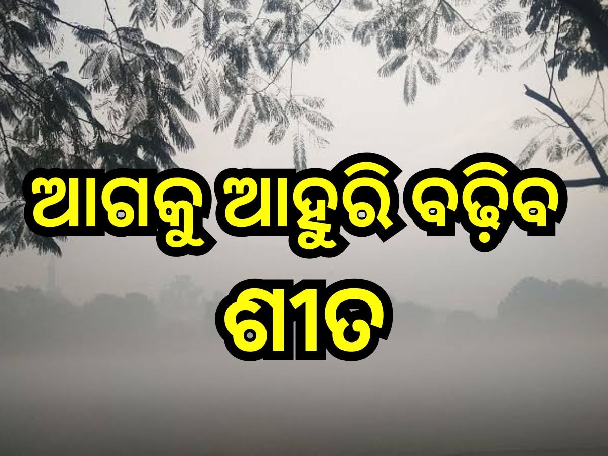 Weather Update: ରାଜ୍ୟରେ ଶୀତର ଲହରି ଜାରି,  ୧୫ ଡିଗ୍ରୀ ତଳେ ୧୨ ସହରର ତାପମାତ୍ରା