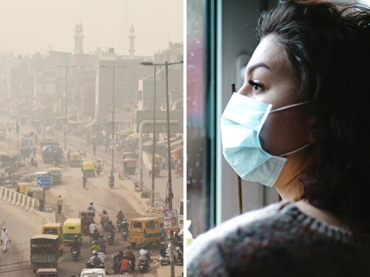 दिल्ली का AQI 494 पार, घर को पॉल्यूशन फ्री रखने के लिए करें ये उपाय