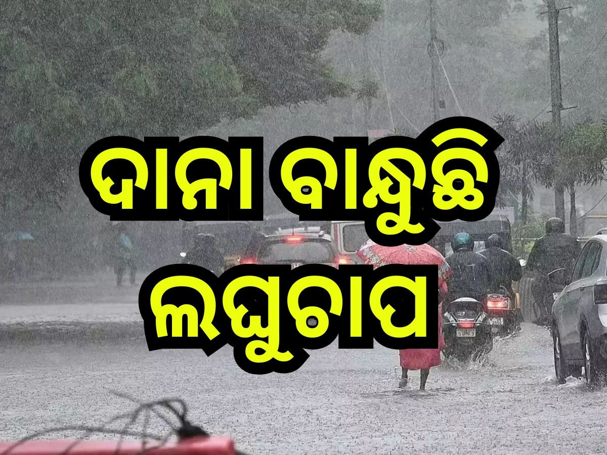 Weather Update: ଆସୁଛି ଆଉ ଏକ ଲଘୁଚାପ, ପୁଣି ଭିଜିବ ଓଡିଶା!