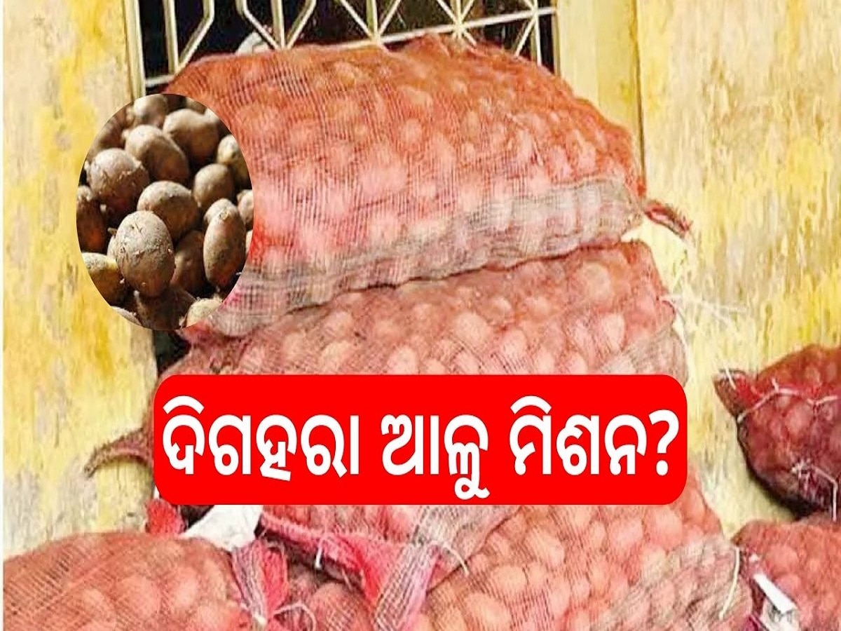 Odisha News: ପଚି ଷଢି଼ ଗଲାଣି ଆଳୁ ବିହନ ସରକାରଙ୍କ ଆଳୁ ମିଶନକୁ କରାଯାଉଛି କି ଦିଗହରା ?