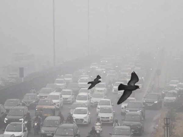 दिल्ली के बाद फरीदाबाद में भी WFH नियम लागू, राजधनी में इन गाड़ियों की नहीं होगी एंट्री