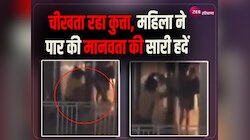 ग्रेटर नोएडा में पालतू कुत्ते से बर्बरता का वीडियो वायरल