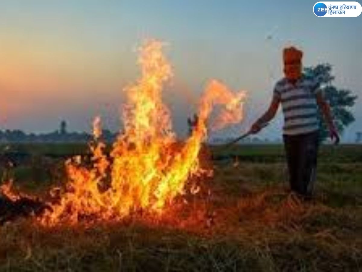 Punjab Stubble Burning: ਪੰਜਾਬ ਵਿੱਚ ਪਰਾਲੀ ਸਾੜਨ ਦੇ ਕੇਸ 10,000 ਤੋਂ ਪਾਰ; ਪਿਛਲੇ ਸਾਲਾਂ ਦੇ ਮੁਕਾਬਲੇ ਕਾਫੀ ਘੱਟ