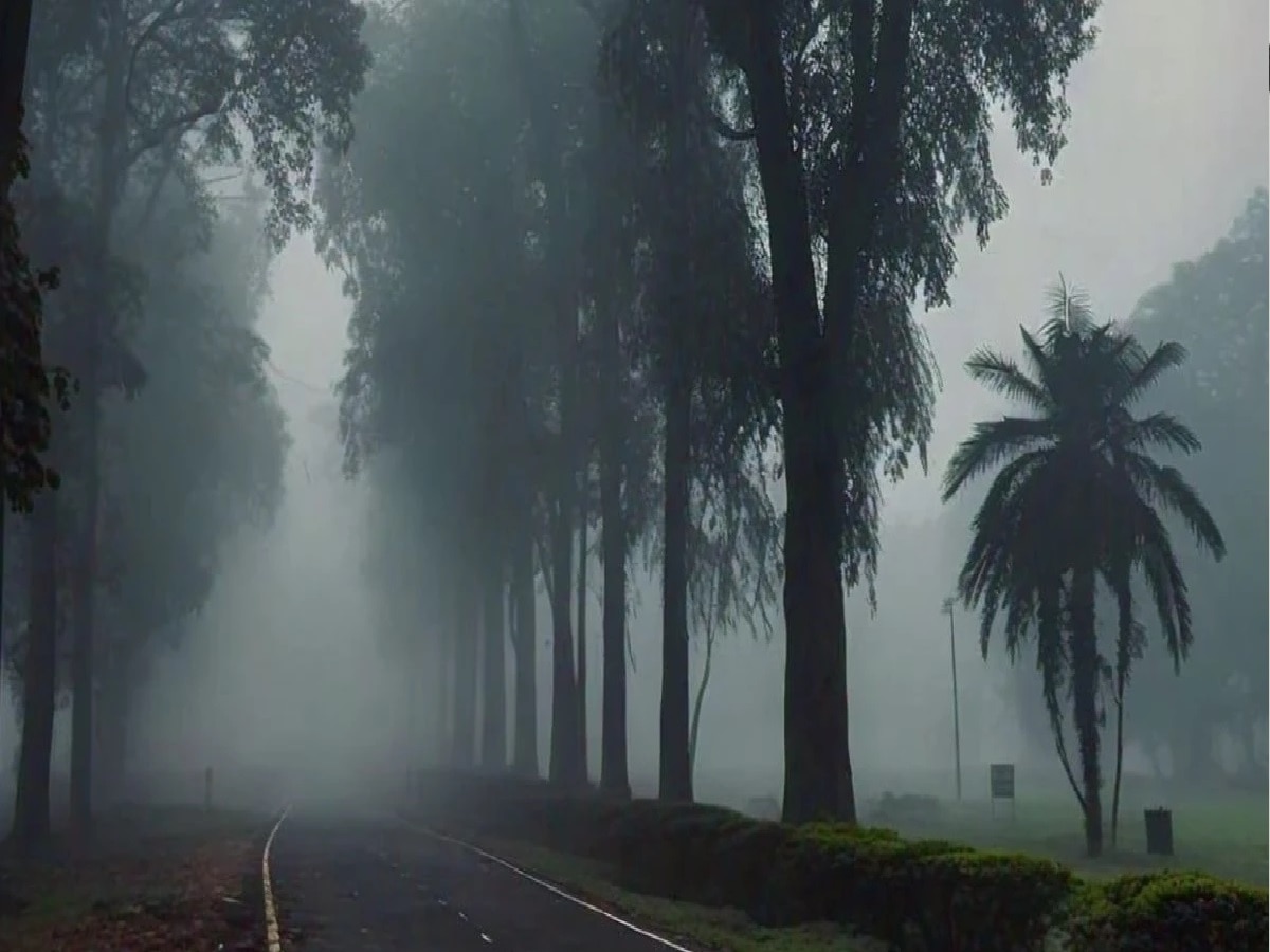 Bihar Weather: बिहार में रात में लुढ़क रहा पारा, बढ़ रही ठंड, आज निकालना पड़ जाएगा कंबल!   