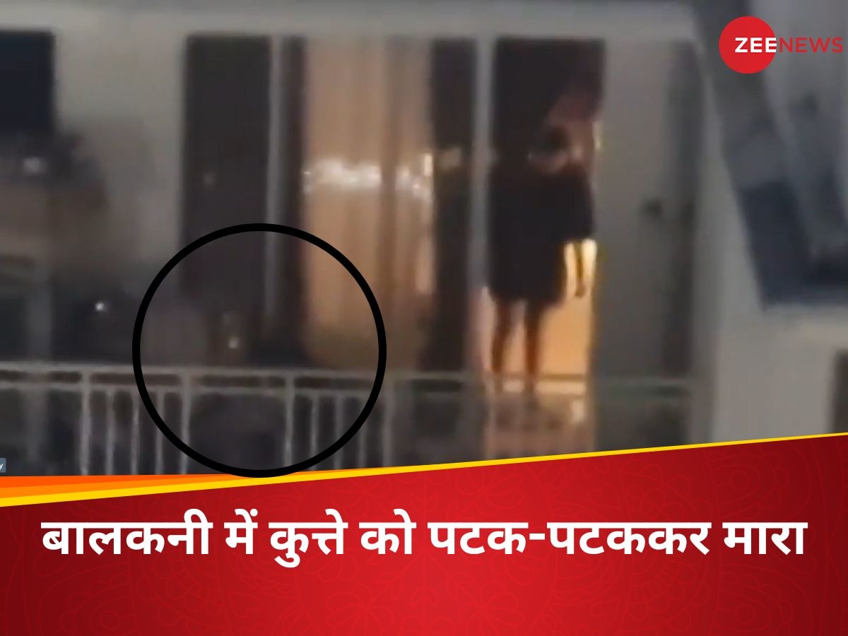 Video: नोएडा में पालतू कुत्ते को पीटने वाले पर FIR, बाल लंबे कर महिलाओं के कपड़े पहनता है ये शख्स