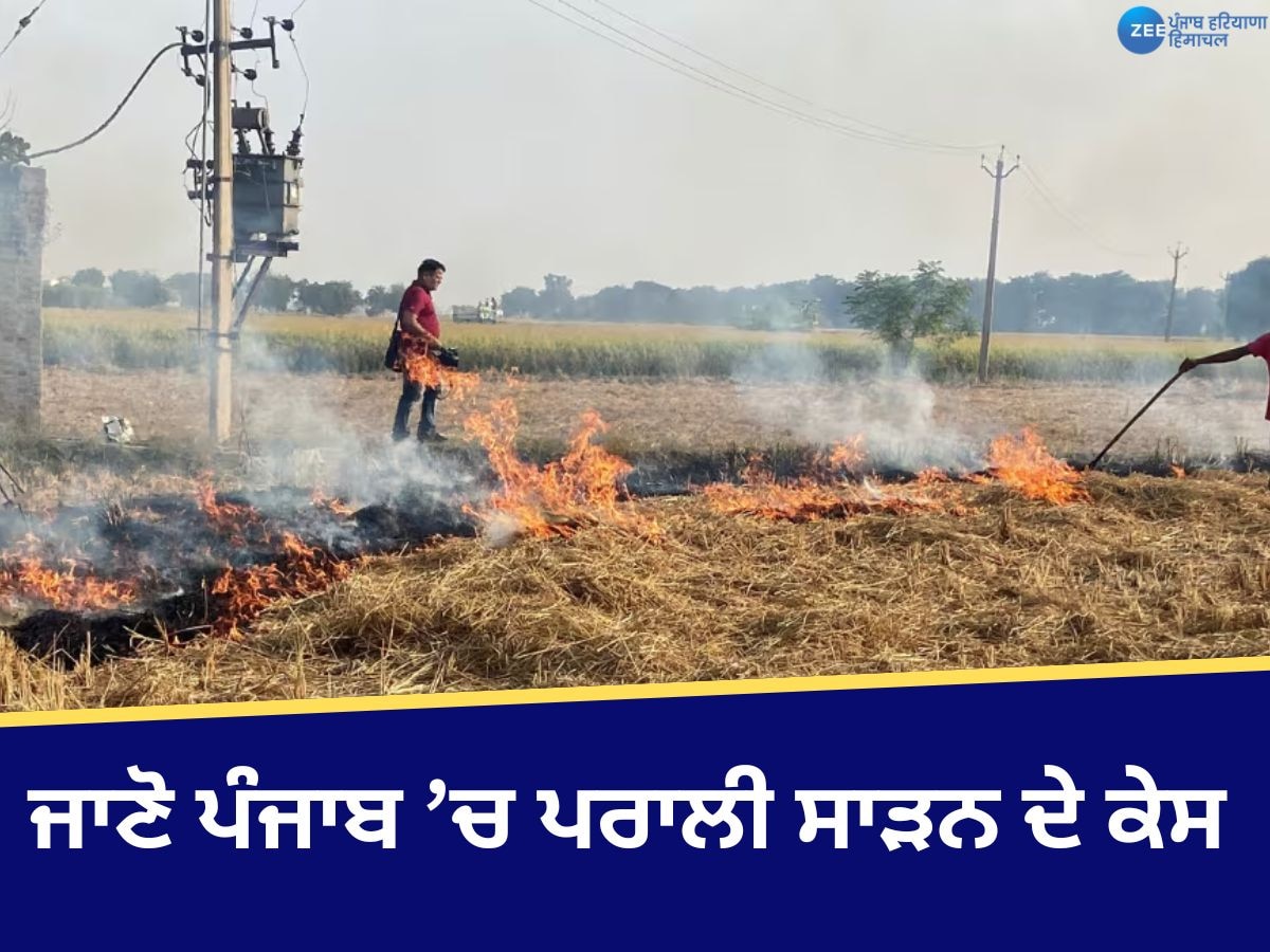 Punjab Stubble Burning Case: ਪੰਜਾਬ 'ਚ ਪਰਾਲੀ ਸਾੜਨ ਦੇ ਮਾਮਲੇ 10 ਹਜ਼ਾਰ ਨੂੰ ਪਾਰ, ਸਭ ਤੋਂ ਵੱਧ 42 ਕੇਸ ਫਾਜ਼ਿਲਕਾ 'ਚ