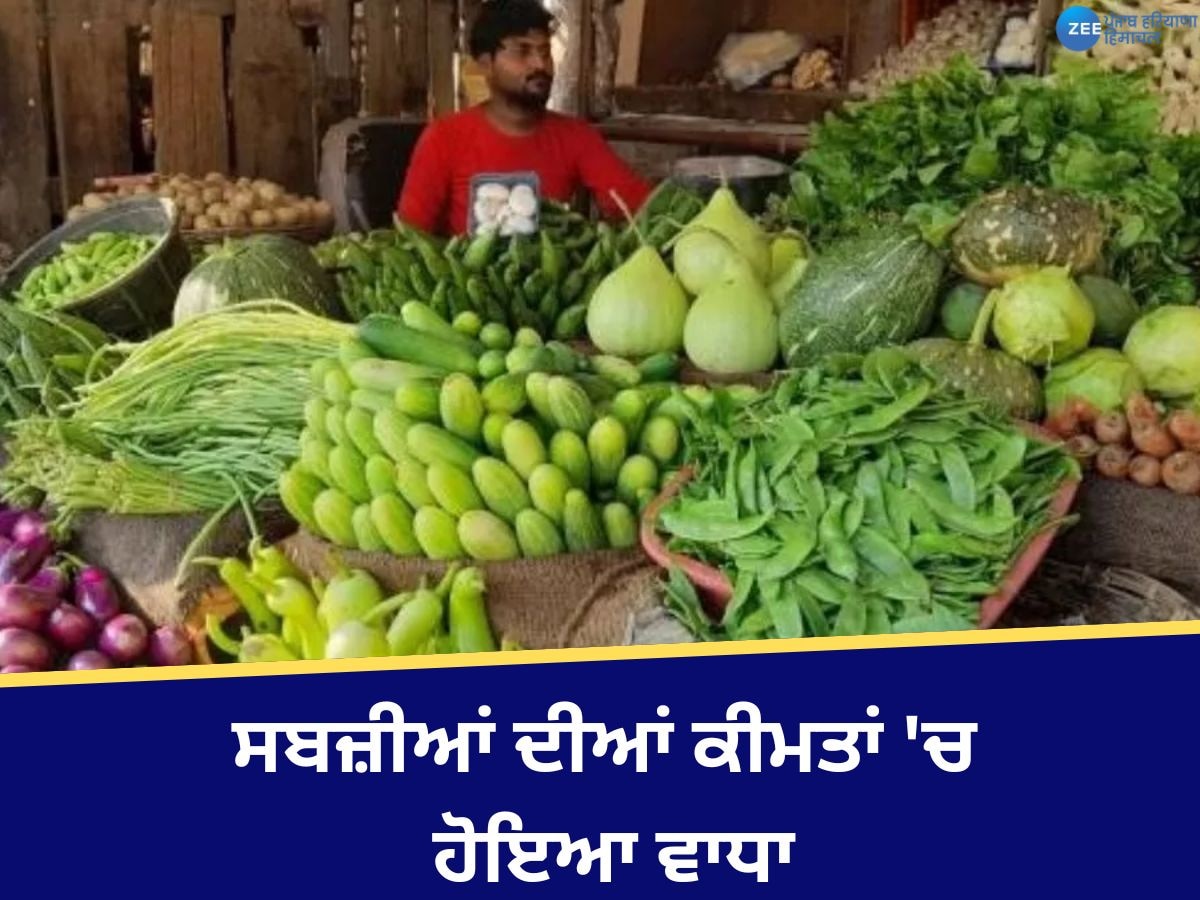 Chandigarh Vegetable Price: ਮੌਸਮ ਦੇ ਬਦਲਾਅ ਕਰਕੇ ਸਬਜ਼ੀਆਂ ਦੇ ਰੇਟਾਂ 'ਚ ਹੋਇਆ ਵਾਧਾ, ਆਮ ਆਦਮੀ ਪਰੇਸ਼ਾਨ