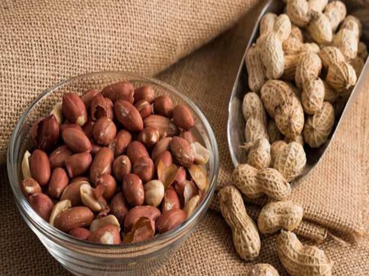 Peanut Benefits: मूंगफली खाने से दूर होती हैं चेहरे की झुर्रियां और दाग-धब्बे, जानें इसके अनगिनत फायदे