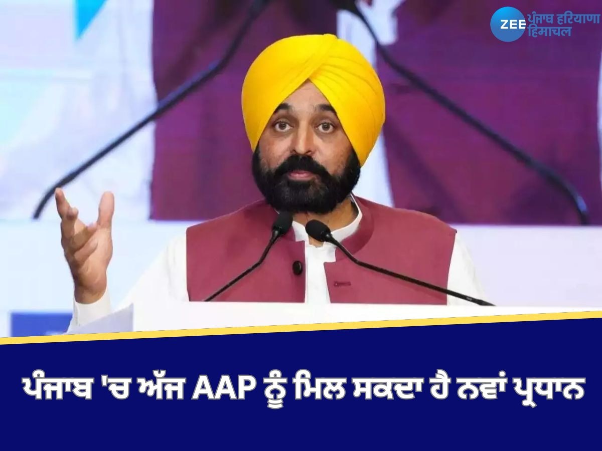 Punjab AAP New President: ਪੰਜਾਬ 'ਚ ਅੱਜ ਆਮ ਆਦਮੀ ਪਾਰਟੀ ਨੂੰ ਮਿਲ ਸਕਦਾ ਹੈ ਨਵਾਂ ਪ੍ਰਧਾਨ