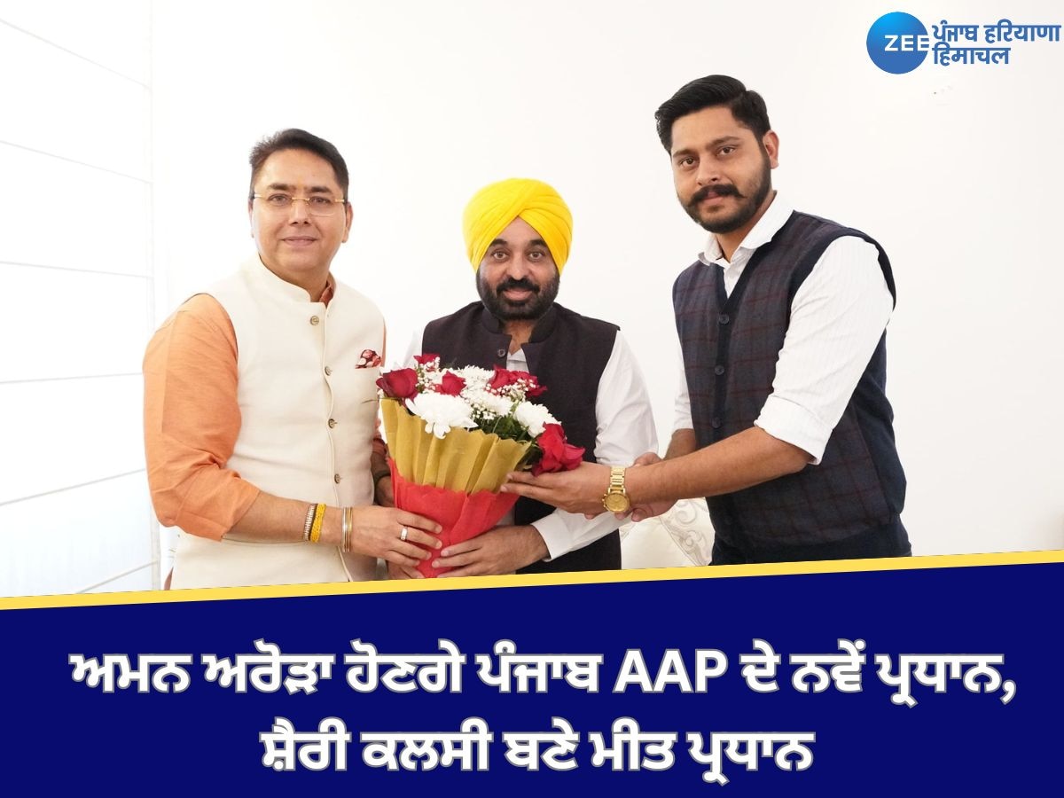 Punjab AAP New President: ਅਮਨ ਅਰੋੜਾ ਬਣੇ ਪੰਜਾਬ AAP ਦੇ ਨਵੇਂ ਪ੍ਰਧਾਨ, ਸ਼ੈਰੀ ਕਲਸੀ ਹੋਣਗੇ ਮੀਤ ਪ੍ਰਧਾਨ