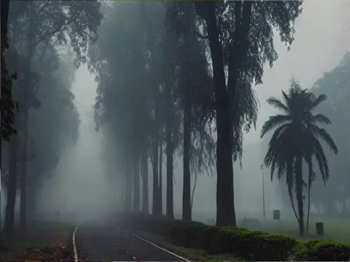 सर्द पछुआ हवा ने बढ़ाई ठंड, तापमान में 4 डिग्री तक गिरावट, हाजीपुर की हवा सबेस प्रदूषित 