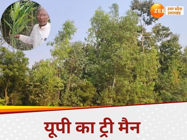 shahjahanpur tree man grows green forest on barren land read ...