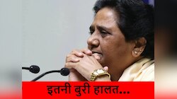 BSP ने बची-खुची साख भी खोई! यूपी के उपचुनाव में पार्टी का हो गया बेड़ा गर्क
