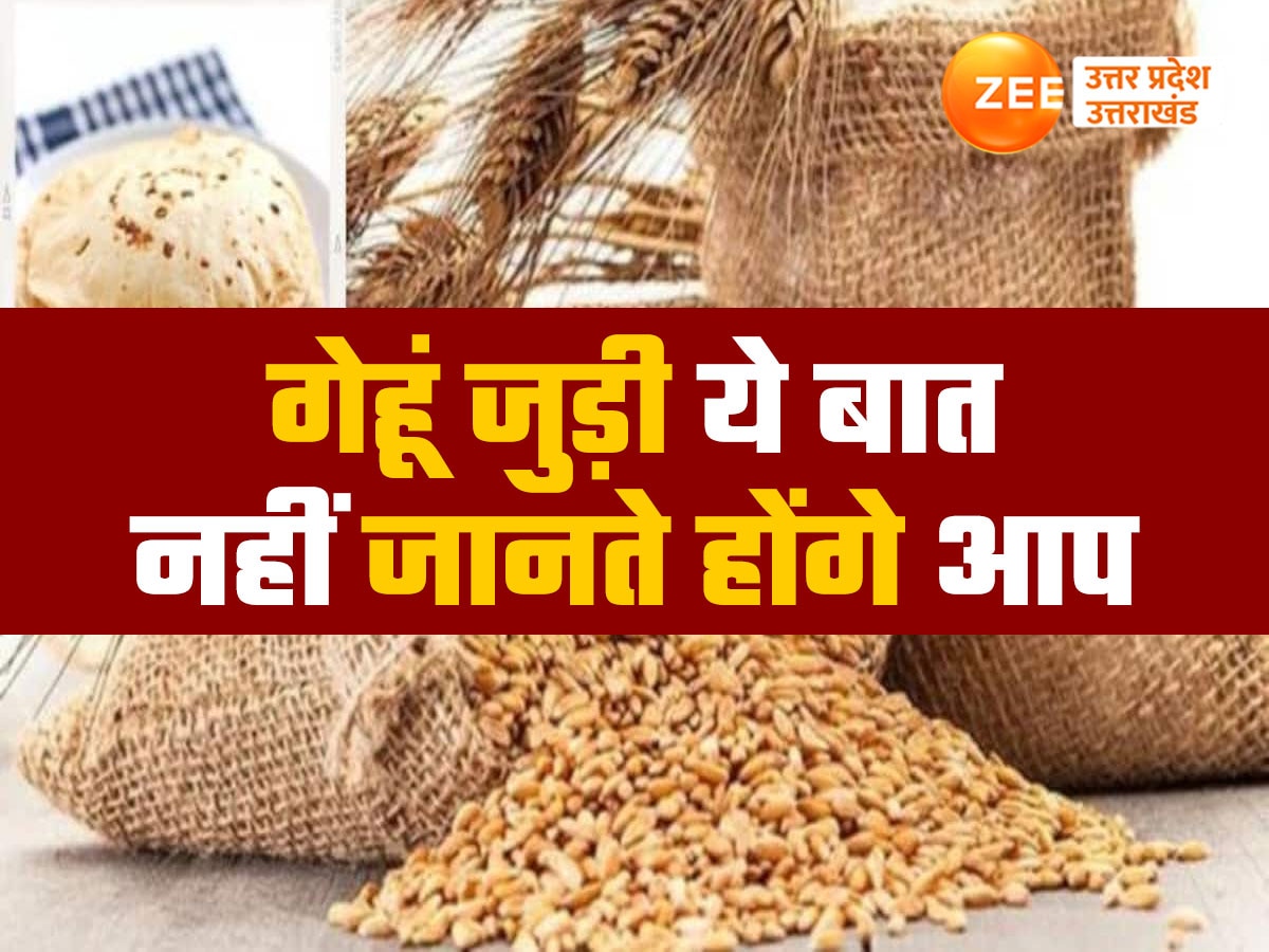 Ynot Roti 30 days without wheat know health benefits to not eating roti chapati ...