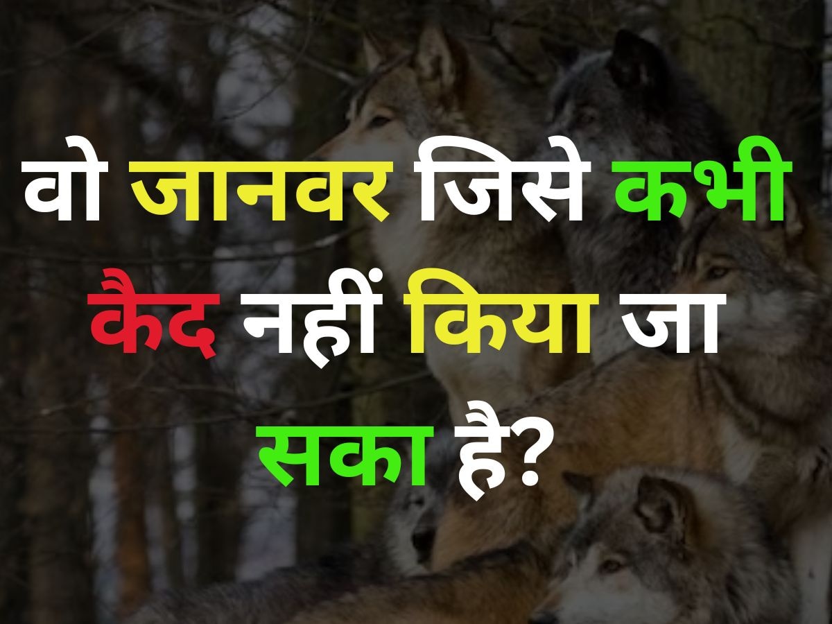 GK Quiz: एक ऐसा जानवर है, जिसे कभी कैद नहीं किया जा सका है?